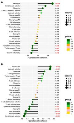 Identification of hub genes and immune cell infiltration characteristics in chronic rhinosinusitis with nasal polyps: Bioinformatics analysis and experimental validation